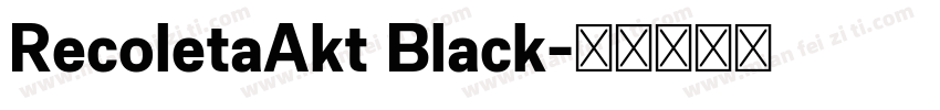 RecoletaAkt Black字体转换
